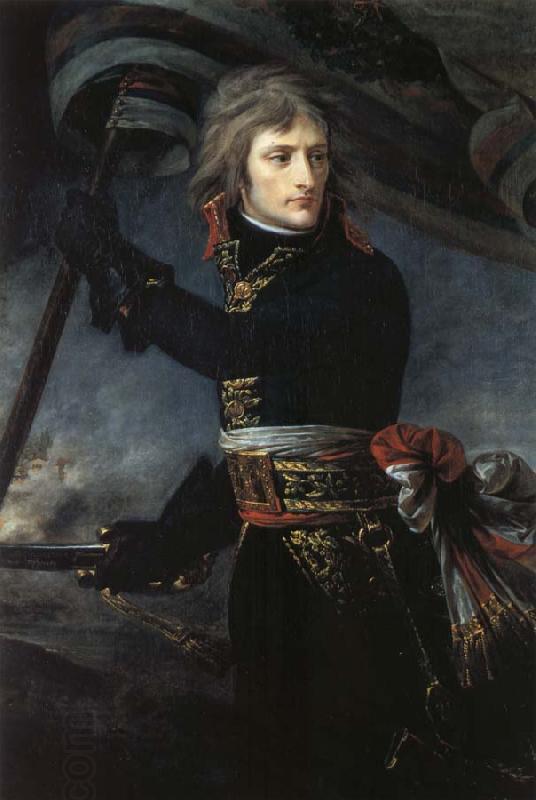 Thomas Pakenham Napoleon Bonaparte during his victorious campaign in Italy